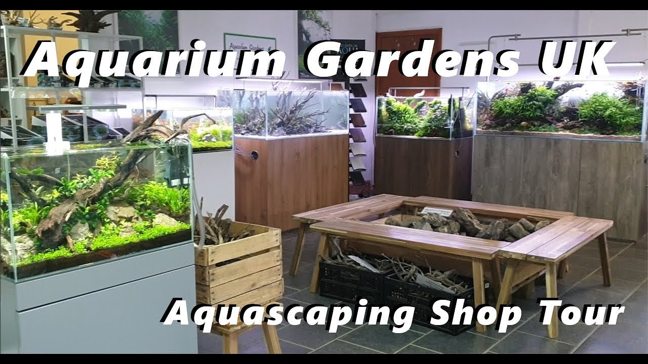 Aquarium Gardens U.K. | Aquascape Shop Tour