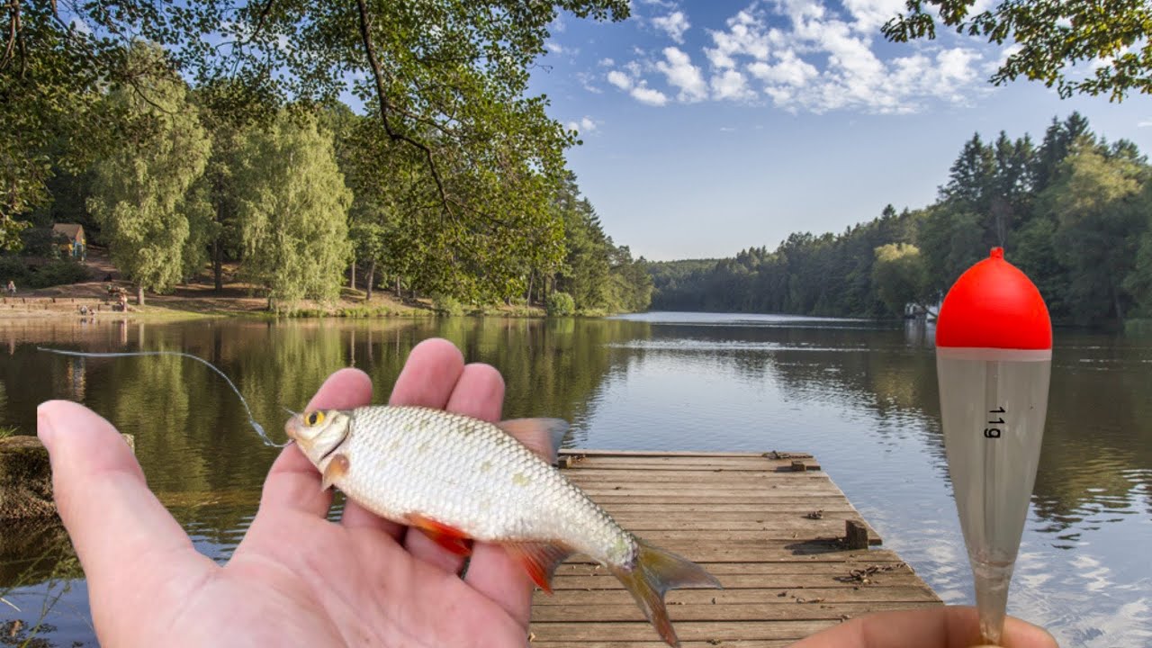 PECHE au VIF au BOUCHON - Brochet Magnifique dans cet Etang Myst&eacute;rieux !!! 4K