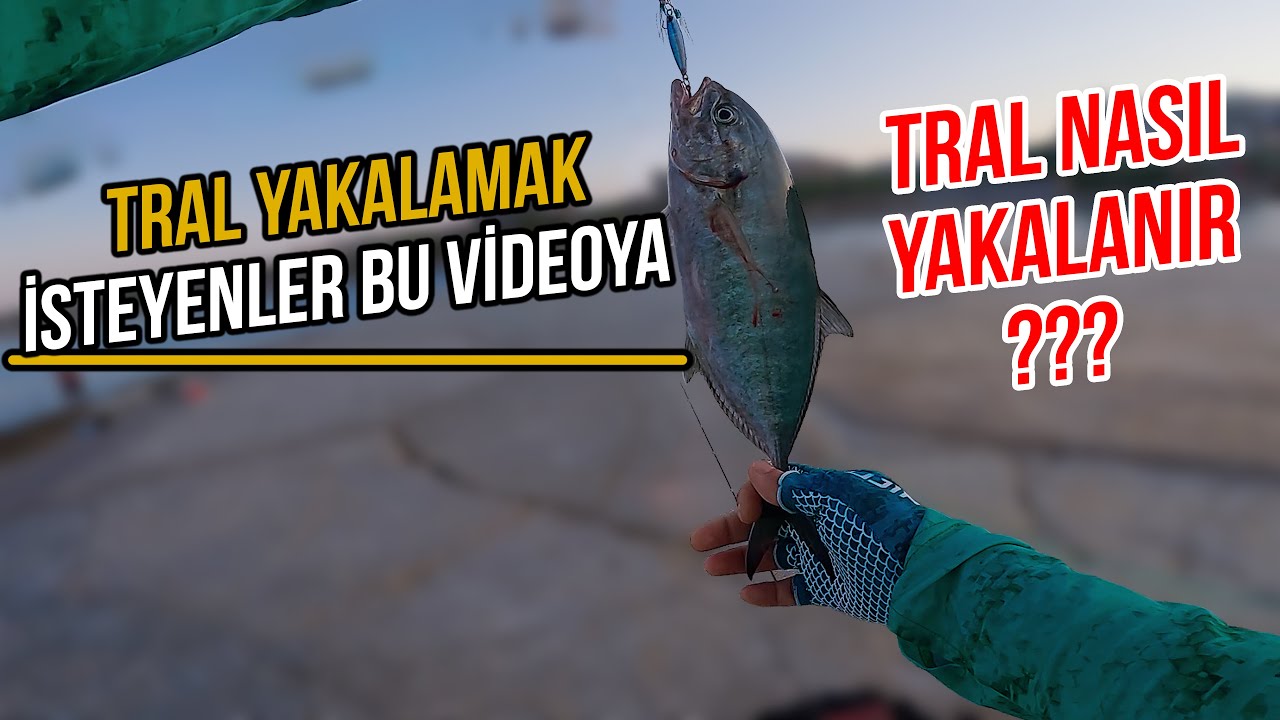 Lrf ile Tral Avı - (Tral tutmak isteyenler bu videoya)- Alanya/Konaklı | VARSA ALIRIZZ!!!