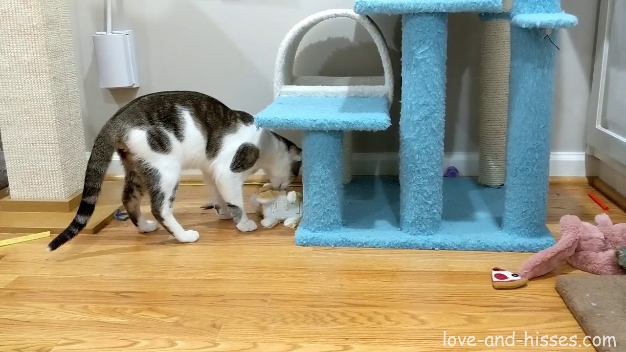 Charles works on his parenting skills