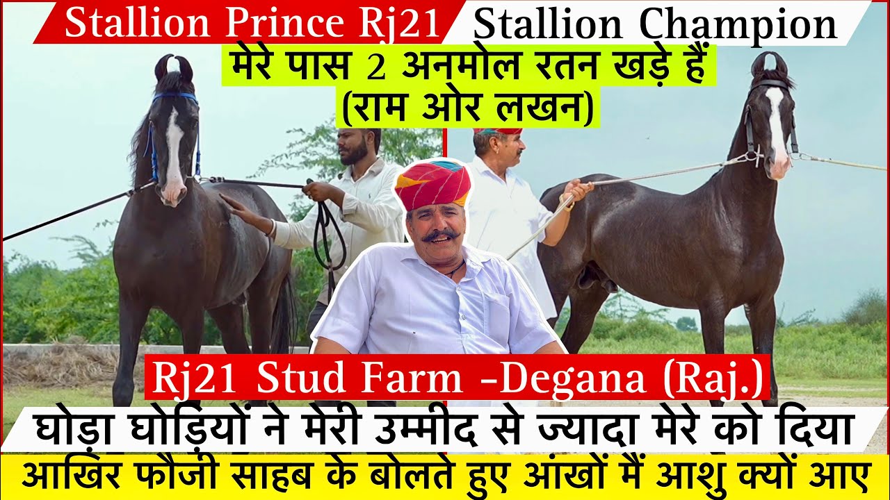 डेगाना के फौजी साहब के 2 अनमोल घोड़े आखिर क्यों फौजी साहब की आंखों मैं आए आंसू !