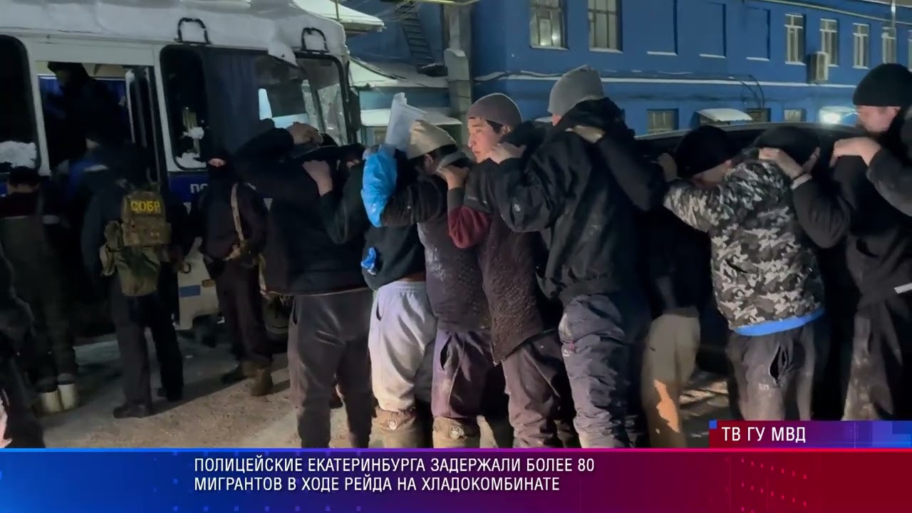 Полицейские Екатеринбурга задержали более восьмидесяти мигрантов в ходе рейда на хладокомбинате