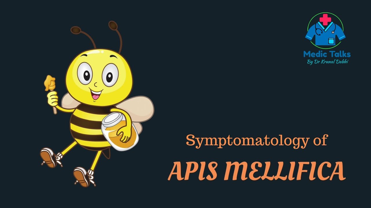 Apis Mellifica