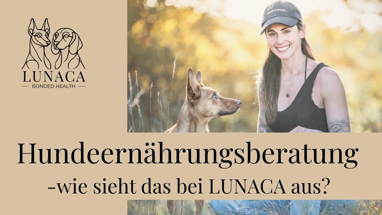 Den perfekten Ernährungsplan für deinen Hund finden - meine Leistungen bei LUNACA erklärt