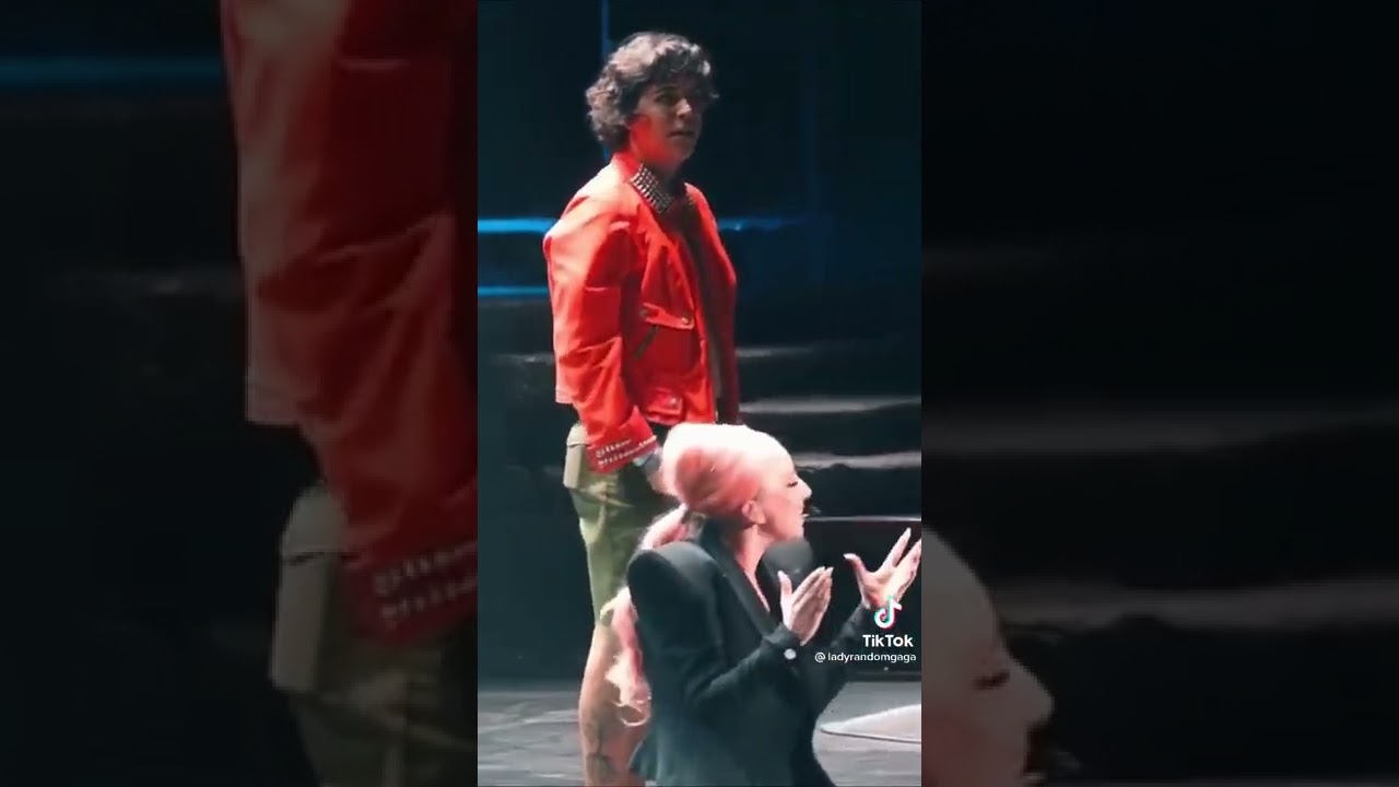 lady gaga invita a un fan en su concierto
