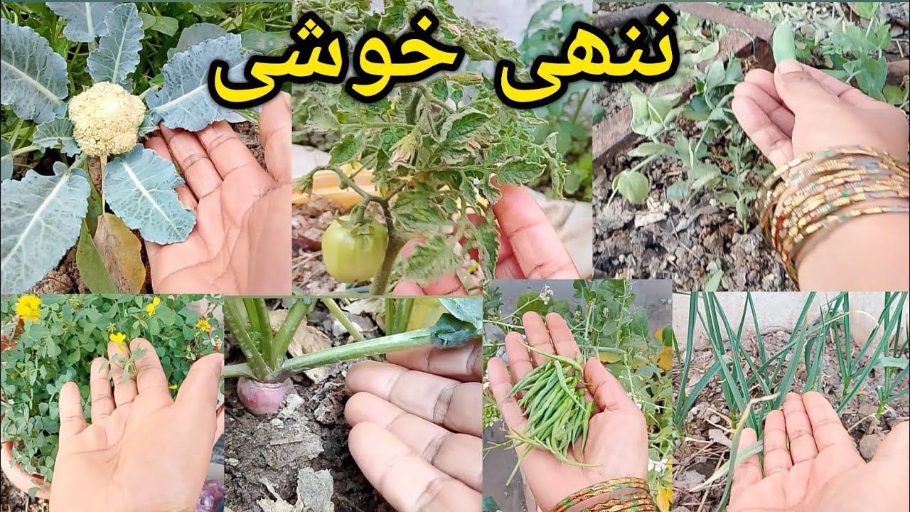 ایک خوبصورت احساس 😊☺️ nice feeling ☺️😊