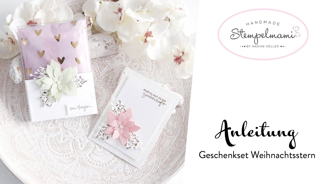 Geschenkset Weihnachtsstern | Produktpaket Blühende Weihnachten | Teelichtverpackung basteln