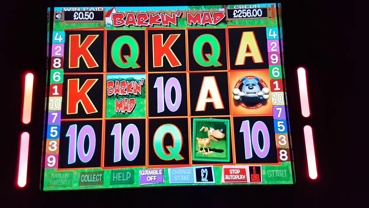 £500 jackpot Barking Mad