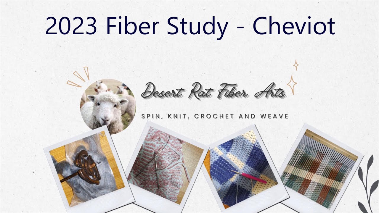 2023 Fiber Study - Cheviot