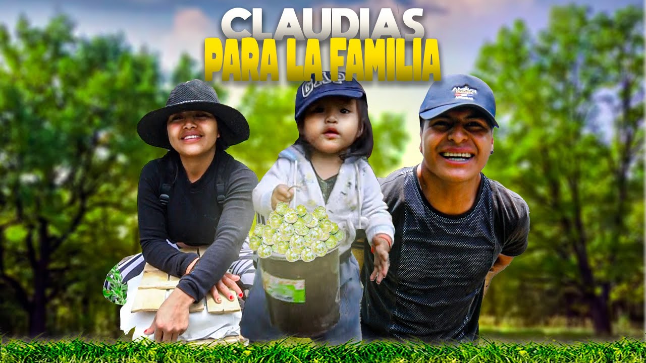 MI NUERA Y MI HIJO ME AYUDAN EN LA COSECHA | Señora Marianita Ft. Rommel Racp - Elvia Maji