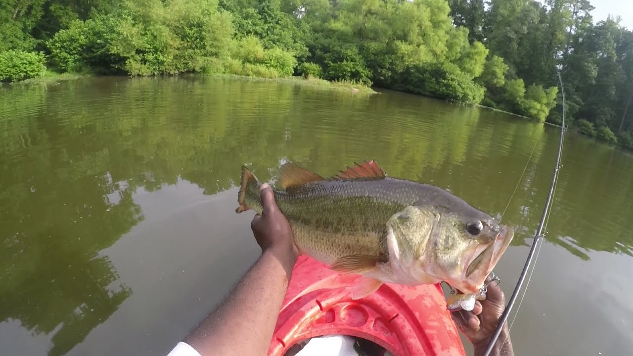 WHOPPER PLOPPER 110 GETS DESTROYED BY A  GIANT  BASS TOPWATER BLOWUP