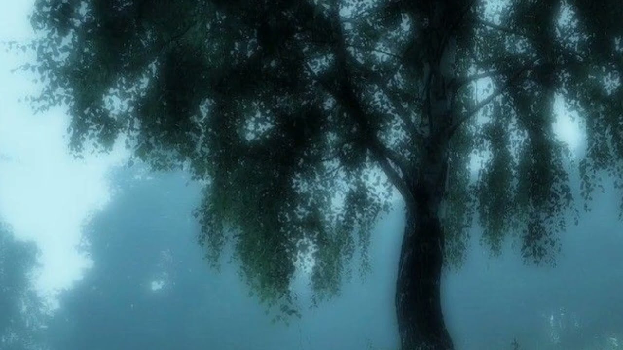 ещё один комфортный плейлист (слушайте в наушниках, не прогадаете))