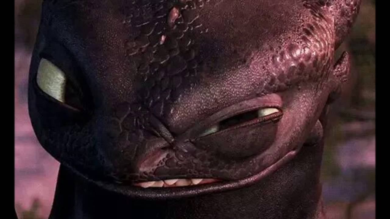 Dragons How to train Toothless | Sturmvalka Spirit