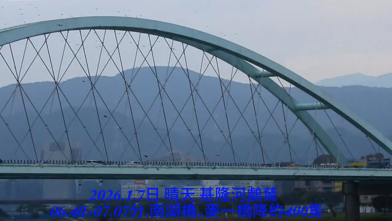 2026.1月7日 晴天  基隆河鸕鶿
