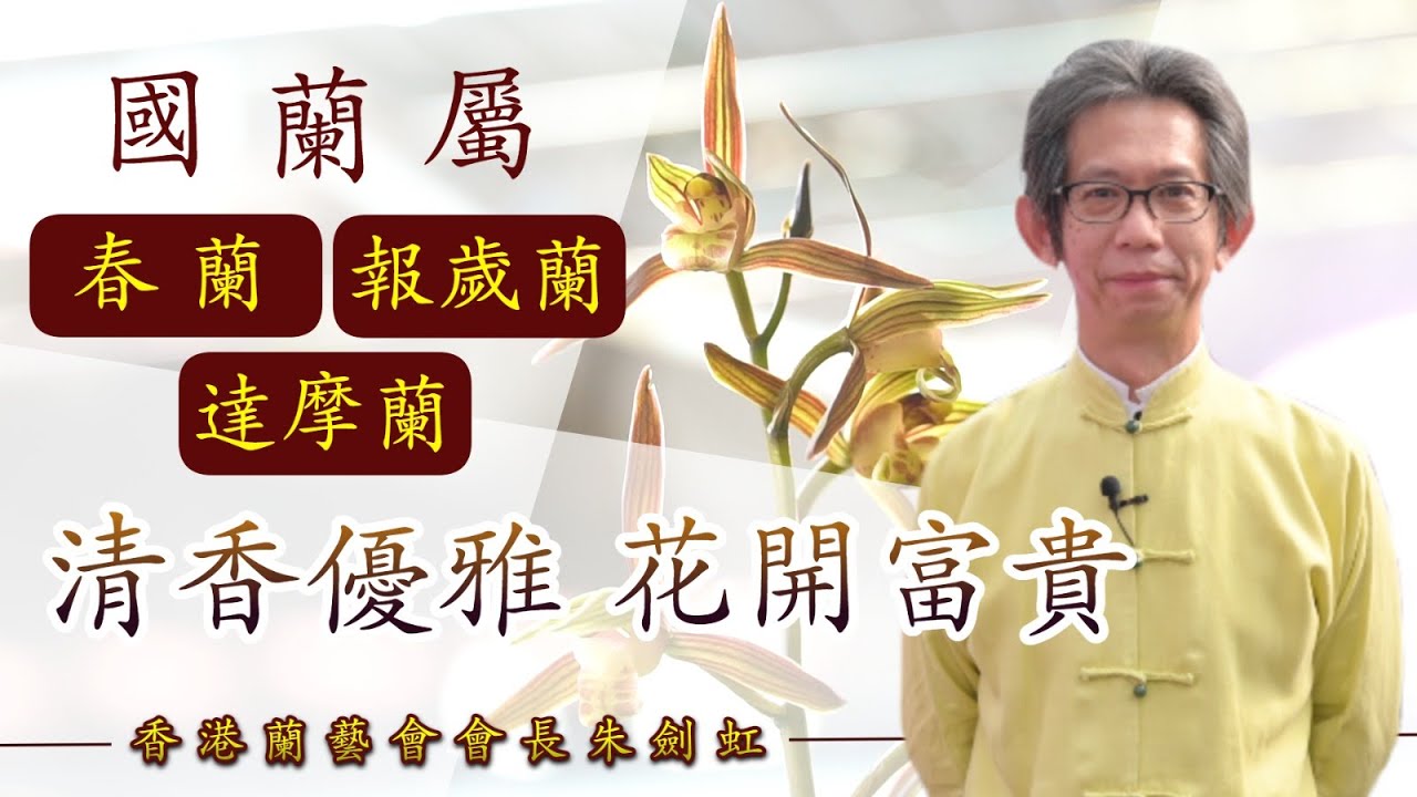 香港蘭藝會會長朱劍虹：國蘭屬春蘭、報歲蘭、達摩蘭 清香優雅 花開富貴《辛丑牛年運程》（2021-02-09）
