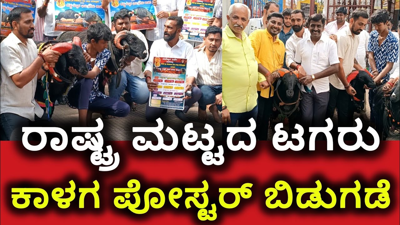 #ಶಿವಮೊಗ್ಗ : ರಾಷ್ಟ್ರಮಟ್ಟದ ಟಗರು ಕಾಳಗ ಪೋಸ್ಟರ್ ಲಾಂಚ್.  @SnewsSmg 