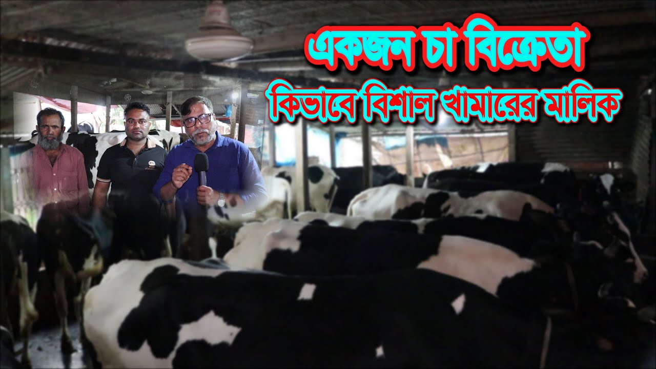 Krishi- 385 | সাজু ডেইরী ফার্ম | চা বিক্রেতা থেকে বিশাল খামারের মালিক | My Vision | Dairy farm Bd |