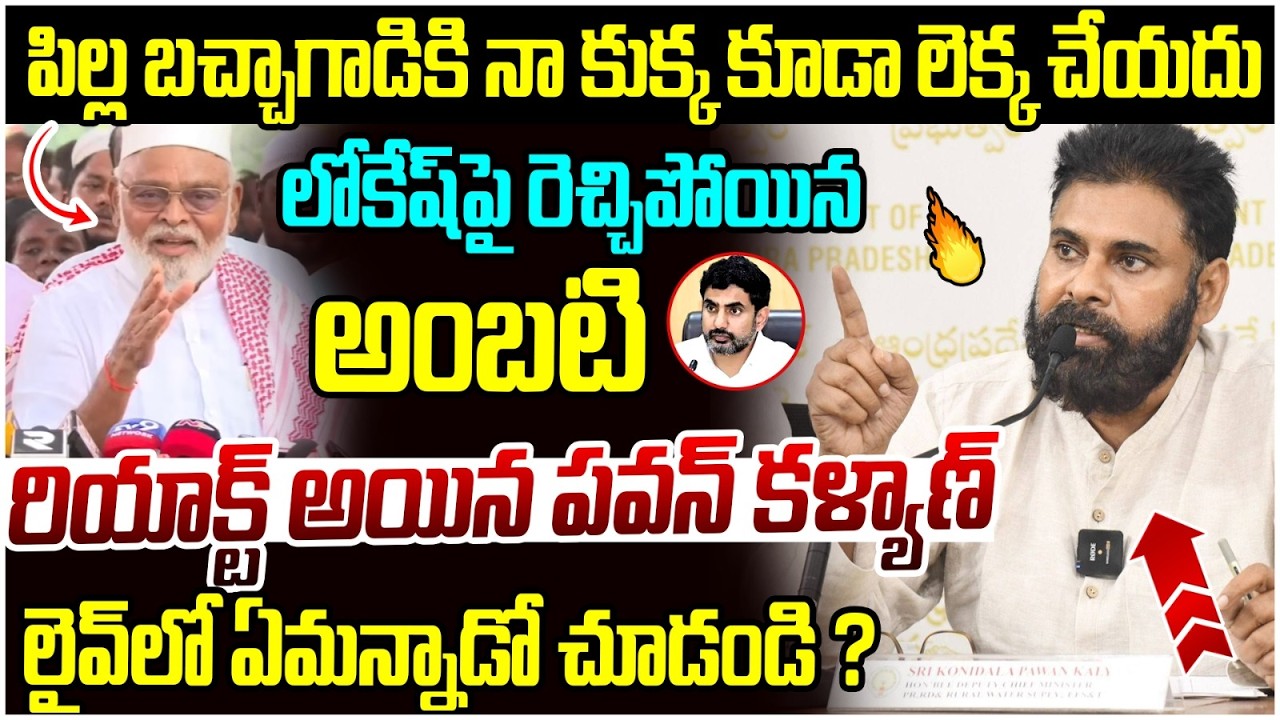 Pawan Kalyan Reaction on Ambati Rambabu | Nara Lokesh Red Book | Janasena Vs YCP | AP News