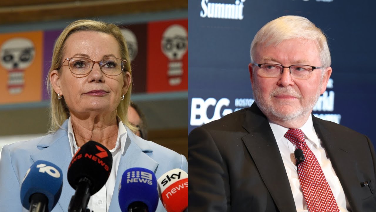 Сьюзан Лей призывает уволить Кевина Радда с поста посла США