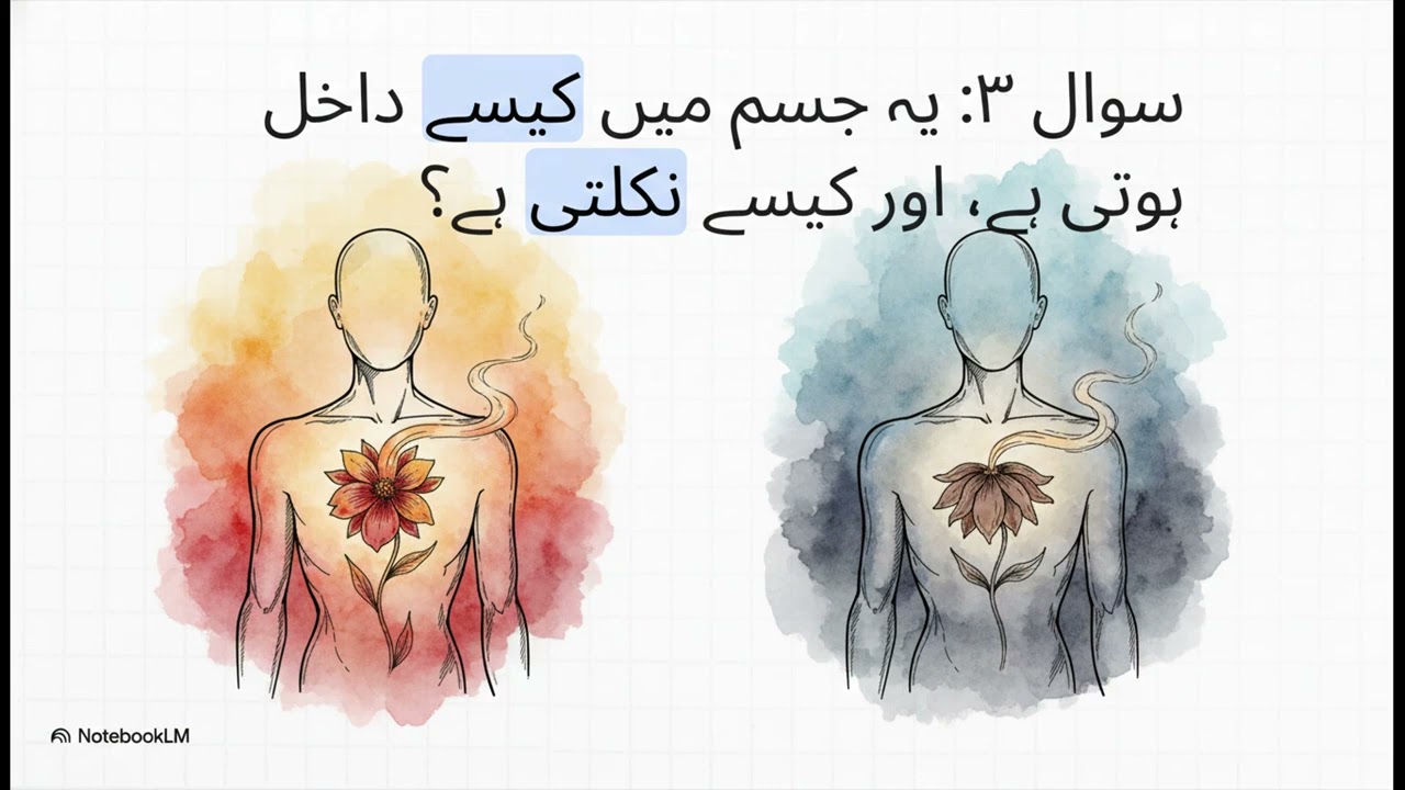 کتاب الروح مصنف امام ابن قیم 