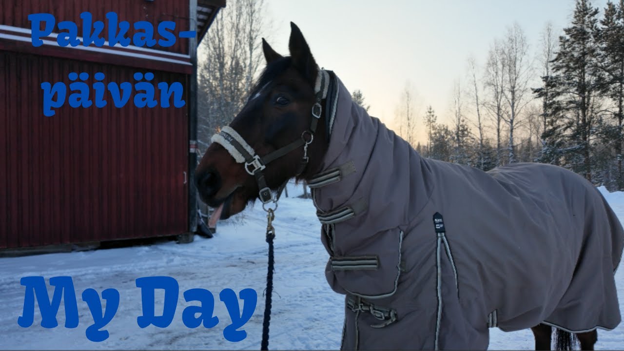 Pakkaspäivän My Day