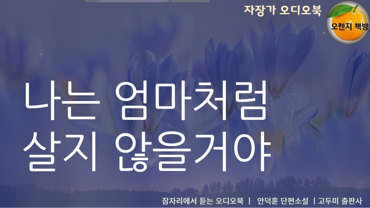 넌 엄마와는 다르다 최고의 찬사가 되어버린 말 ㅣ  엄마처럼 살고 싶지 않아ㅣ자장가 오디오북 ㅣ 잠잘때 듣는 목소리