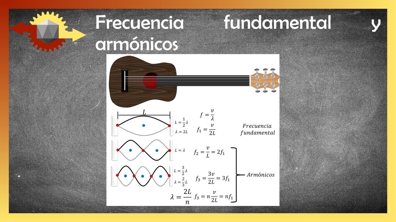 Física | Frecuencia fundamental y armónicos | Ondas estacionarias en una cuerda