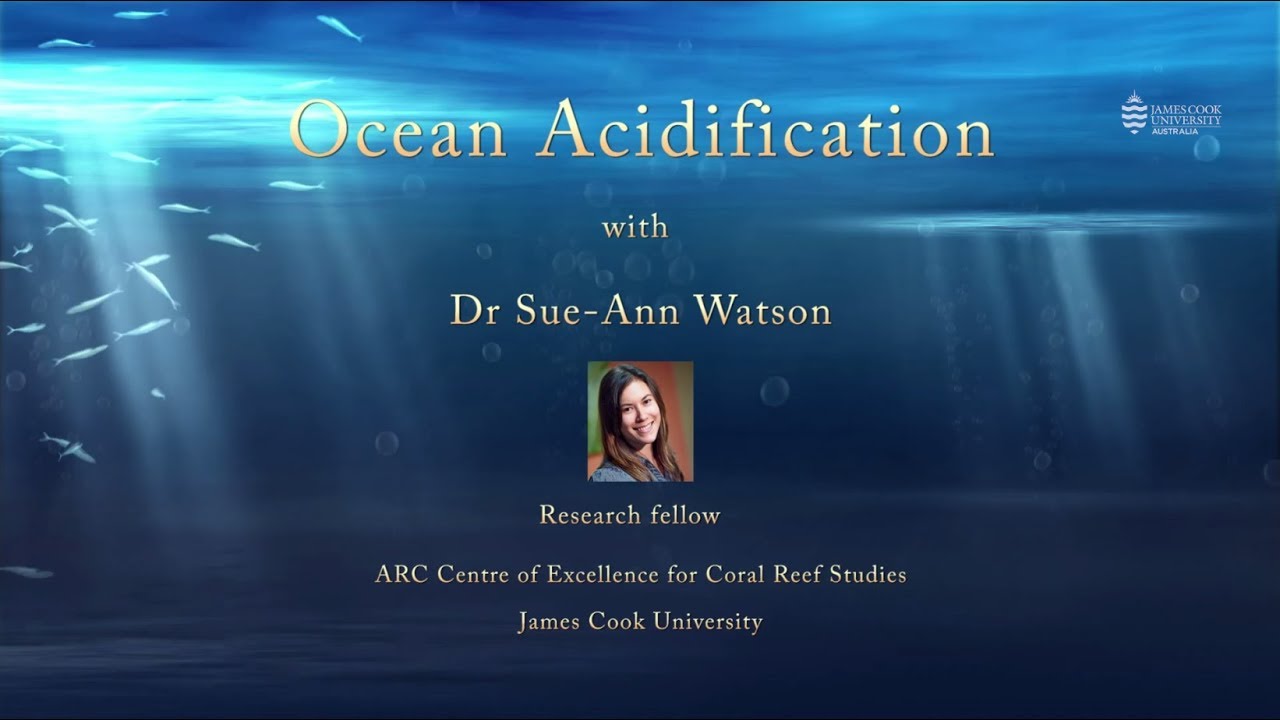 Ocean acidification and its effects on coral reefs