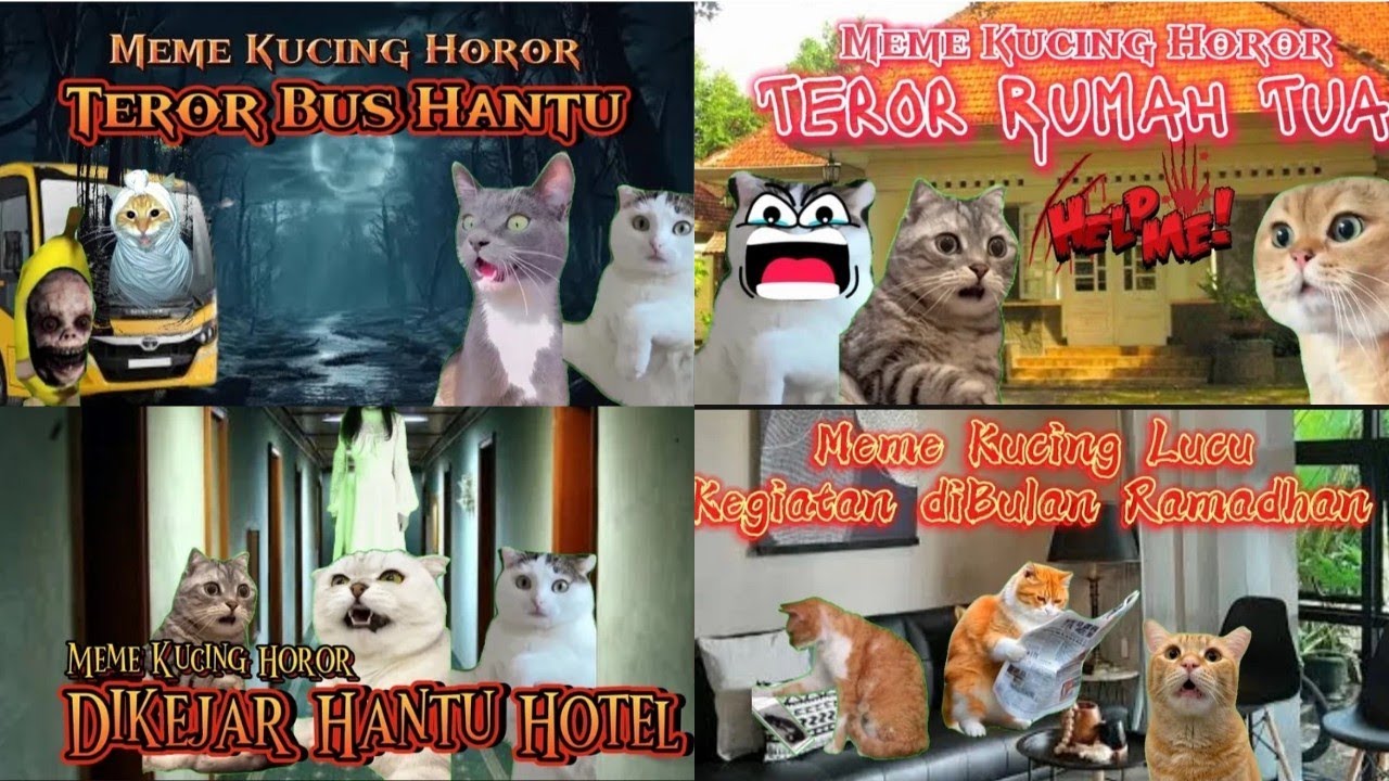 Kompilasi Meme Kucing Horor Part 3 #pov #meme #cat #kucing #horror