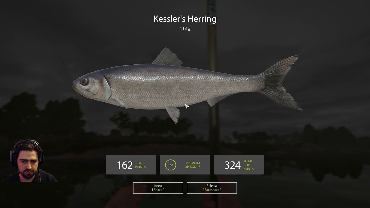 Russian Fishing 4 - No stress float fishing grinding (+28 level)