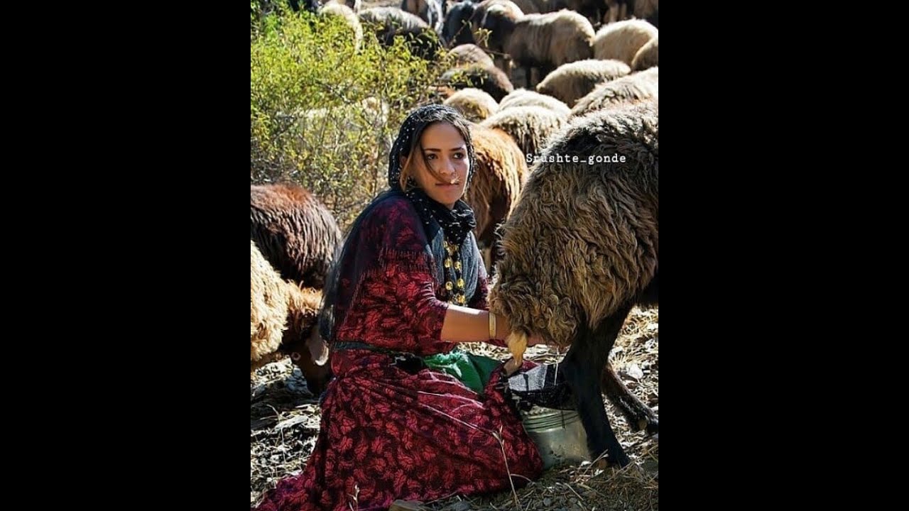 گۆرانی سەوزە گیان، نصراللە پیرحسن