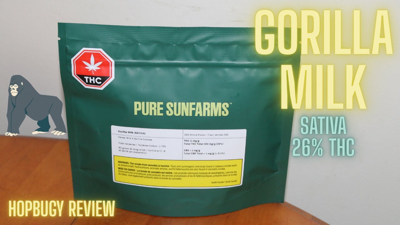 Gorilla Milk Pure Sunfarms Sativa 26 % THC Cannabis Review