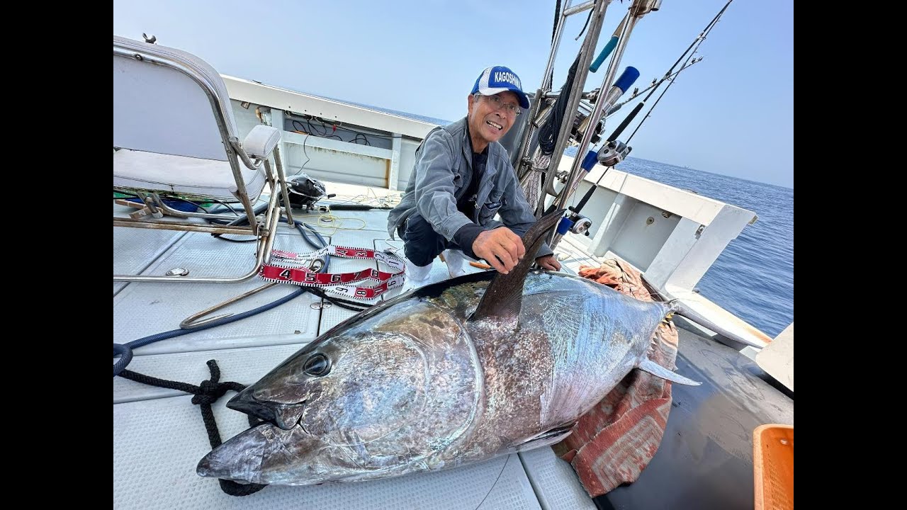 玄界灘でクロマグロ釣りに挑戦2025/06/01