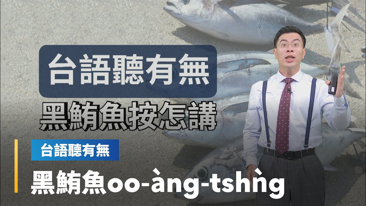 【台語聽有無】黑鮪魚相關台語按怎講｜台語新聞 #鏡新聞