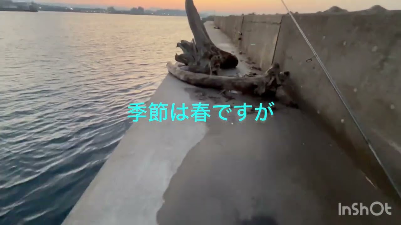 酒田でメバリンング2/15