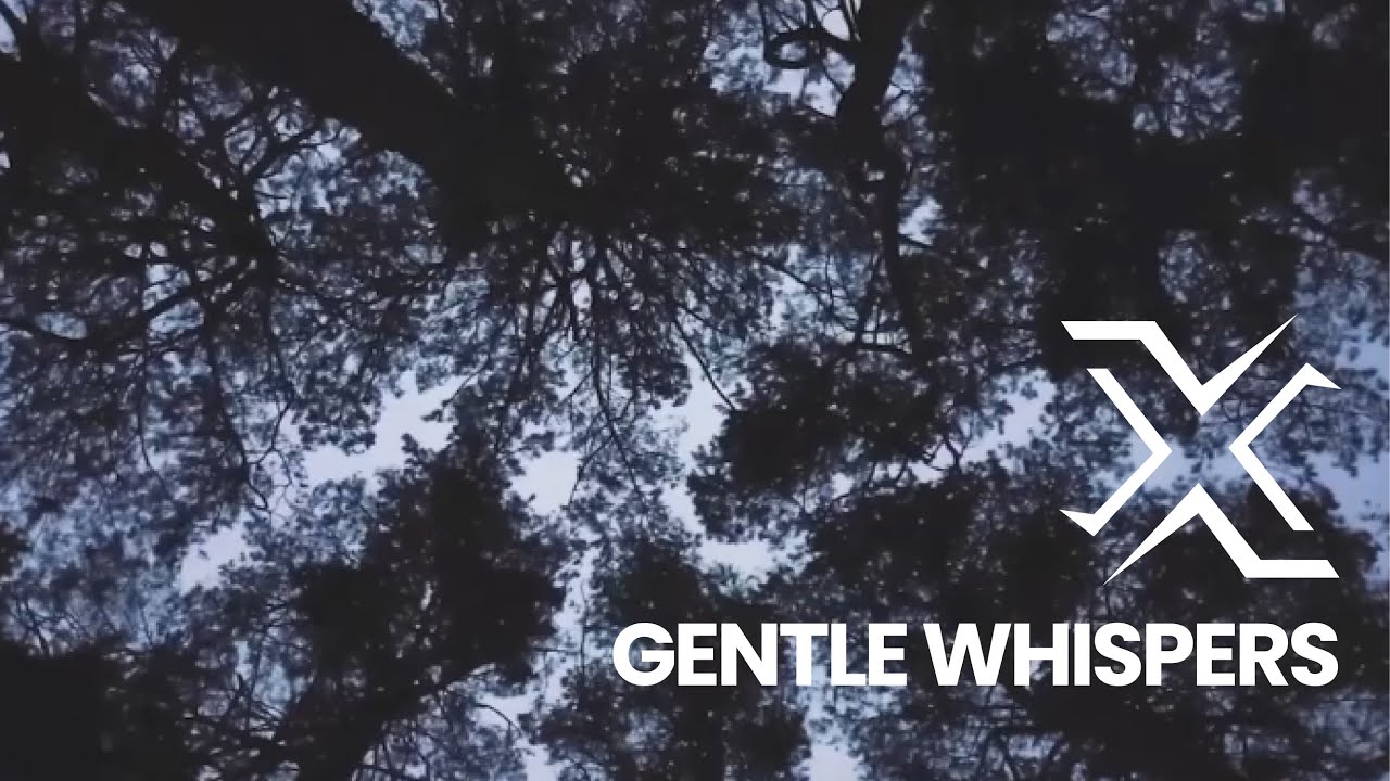 Gentle Whispers (Official Lyric Video) — Xiztence
