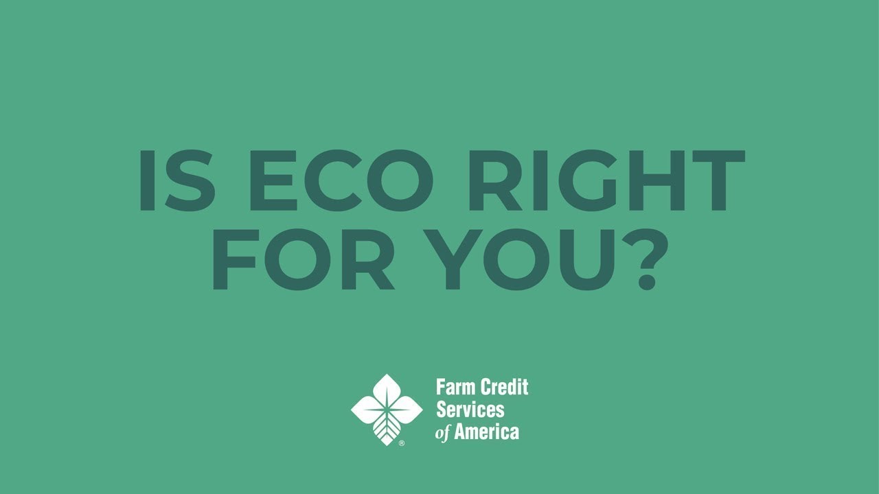 How Enhanced Coverage Option (ECO) for Crop Insurance Works