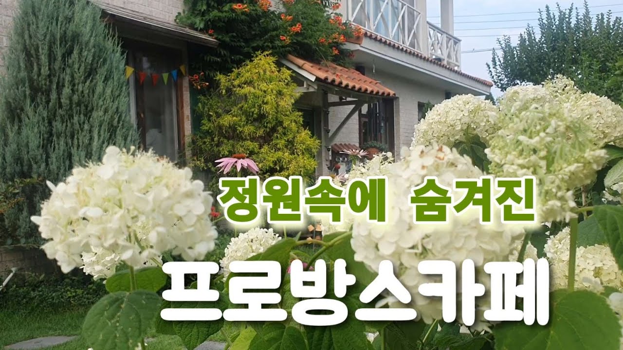 프로방스 감성 가득! 공주의 예쁜 정원카페 ‘보니비’ 🌼｜정원카페 ｜남의집정원구경🌸