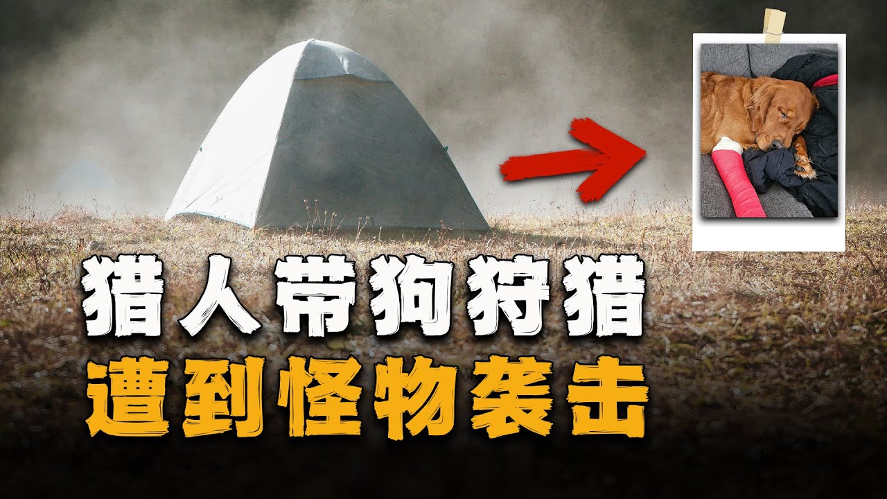 森林里的怪物敲门骚扰猎人，几天后猎人离奇失踪，猎犬受伤骨折
