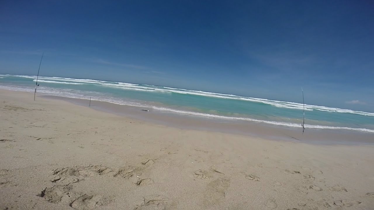 The Mighty Mulloway Quest: Эпизод 1 — Путешествие начинается!