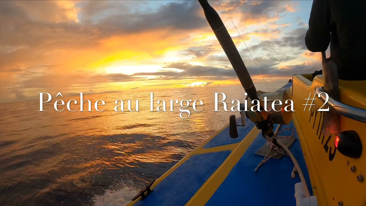 Pêche au large Raiatea, Polynésie française 🇵🇫 ! Thon, marlin, bonite ! 2021