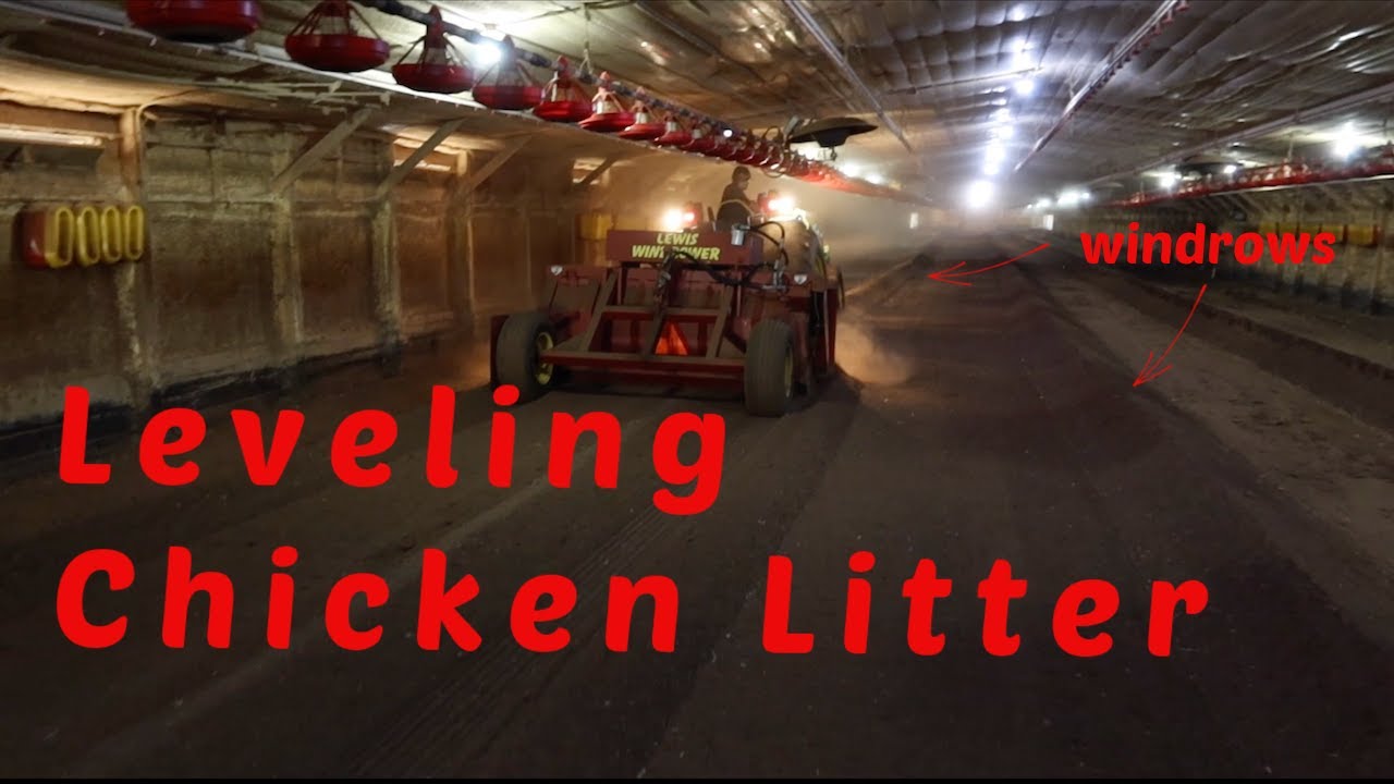 Leveling Chicken Litter After It Has Been Windrowed | Baby Chickens Will Be Coming Back Soon!