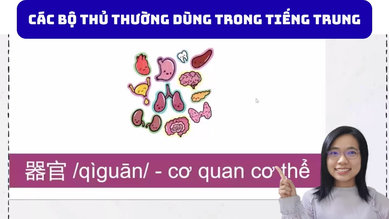 👩‍🏫 Hướng dẫn cách học 100 bộ thủ phổ biến trong tiếng Trung - Nhóm bộ thủ số 3: 器官 📚🫀🫁🧠