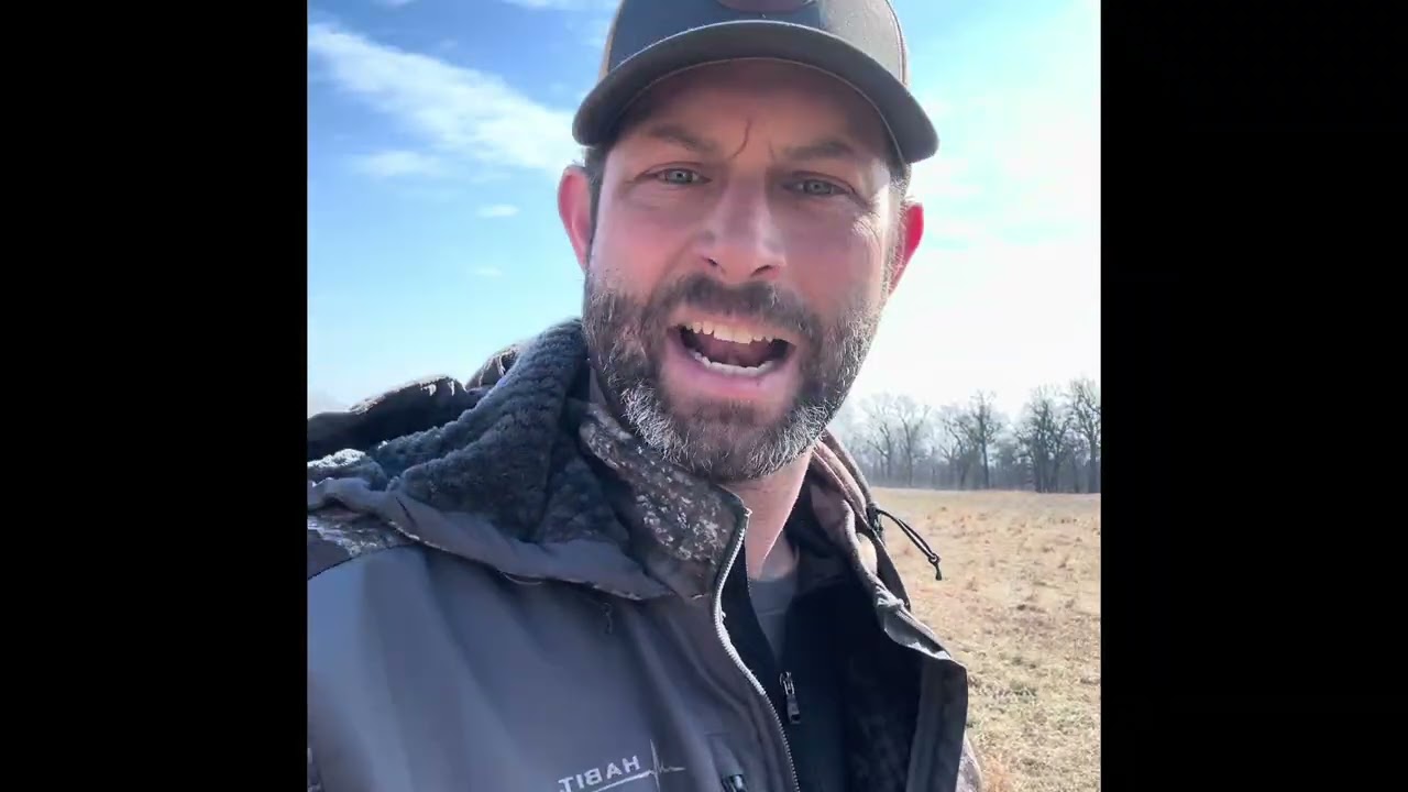 Rotational grazing, moving sheep ￼