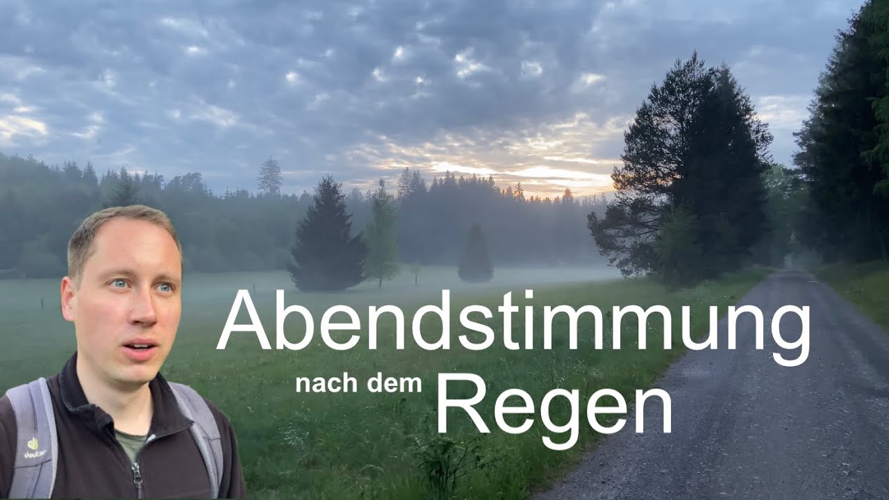 Die Franzosenwiese im Burgwald und der Knorreichenstieg am Edersee