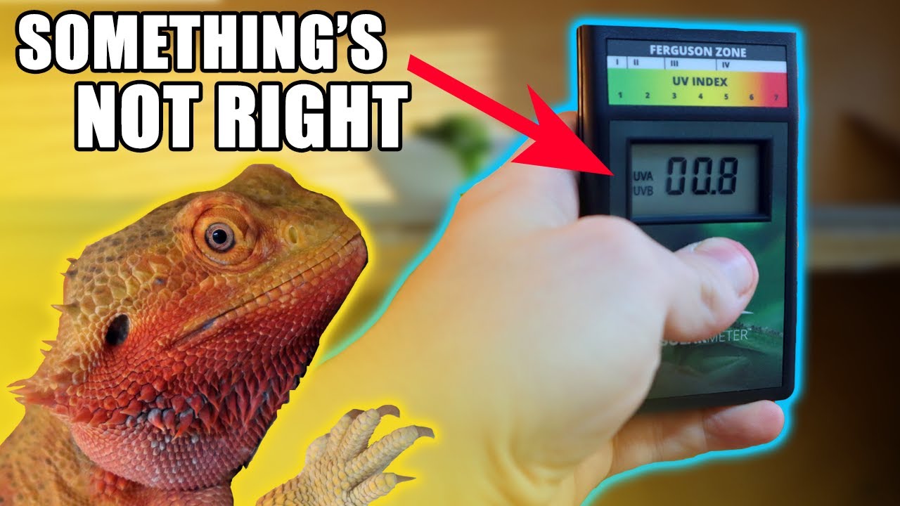 Why You NEED A Solarmeter! A Guide To Ferguson Zones