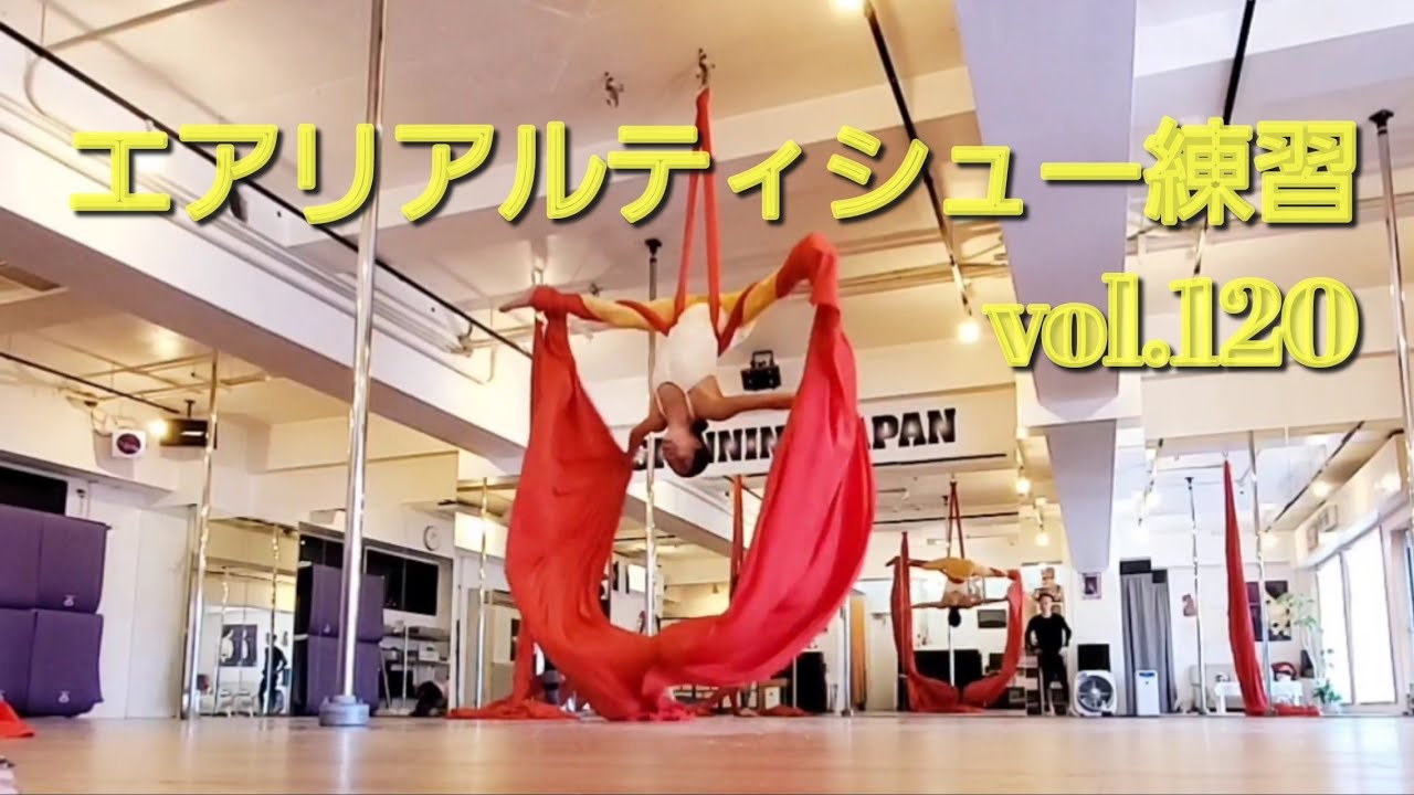 念願の❕バタフライ🦋になれました❤️エアリアルティシューvol.120