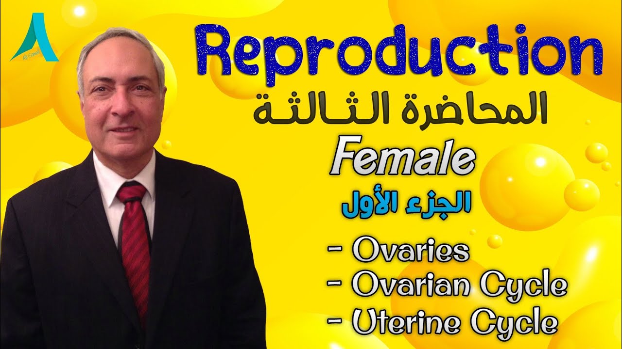 Dr.Nagi - Live Physiology - Lecture 115 - Female (1) - Ovaries, Ovarian cycle & Uterine cycle
