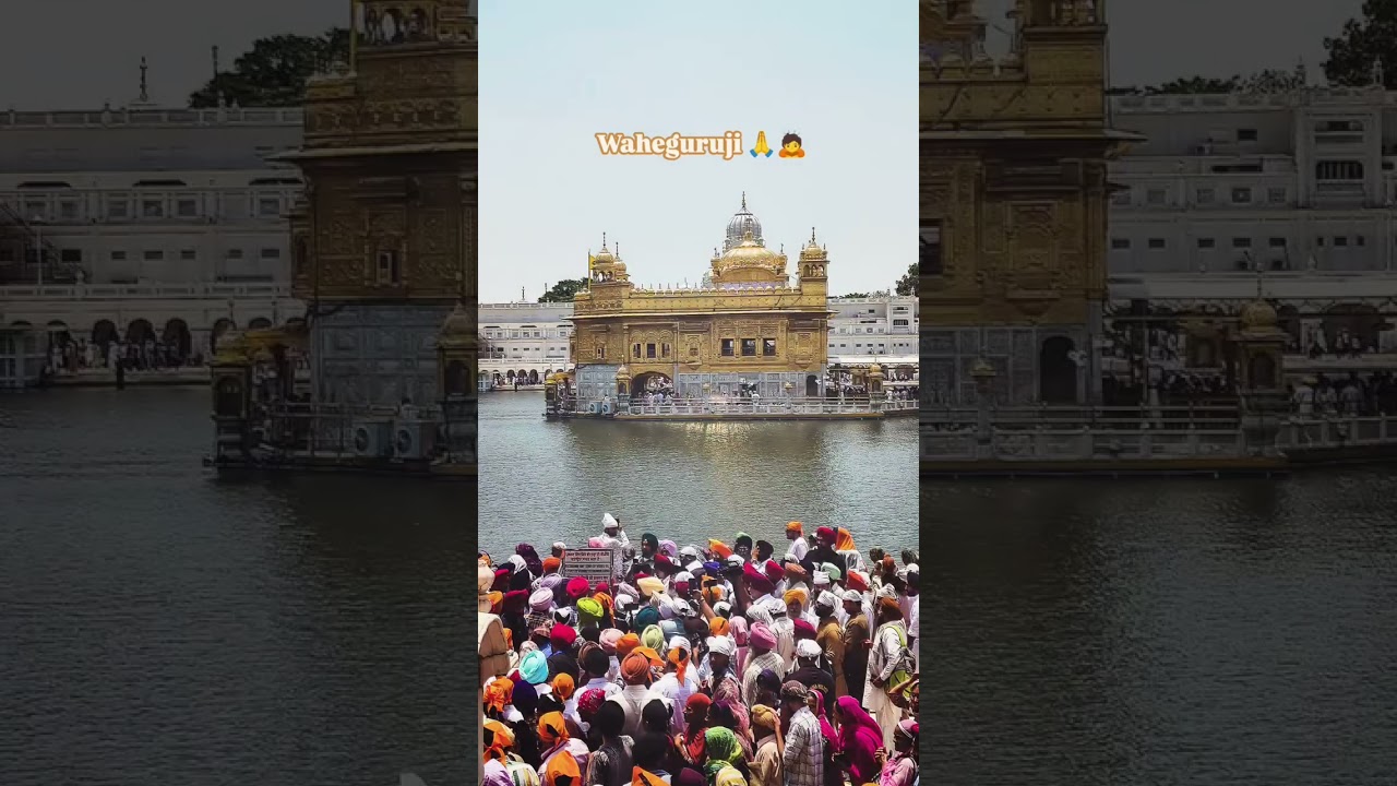 waheguruji 🙏 golden temple ✨ amritsar Punjab India gurudwara 🙏#youtubeshorts #subscribe #like #viral