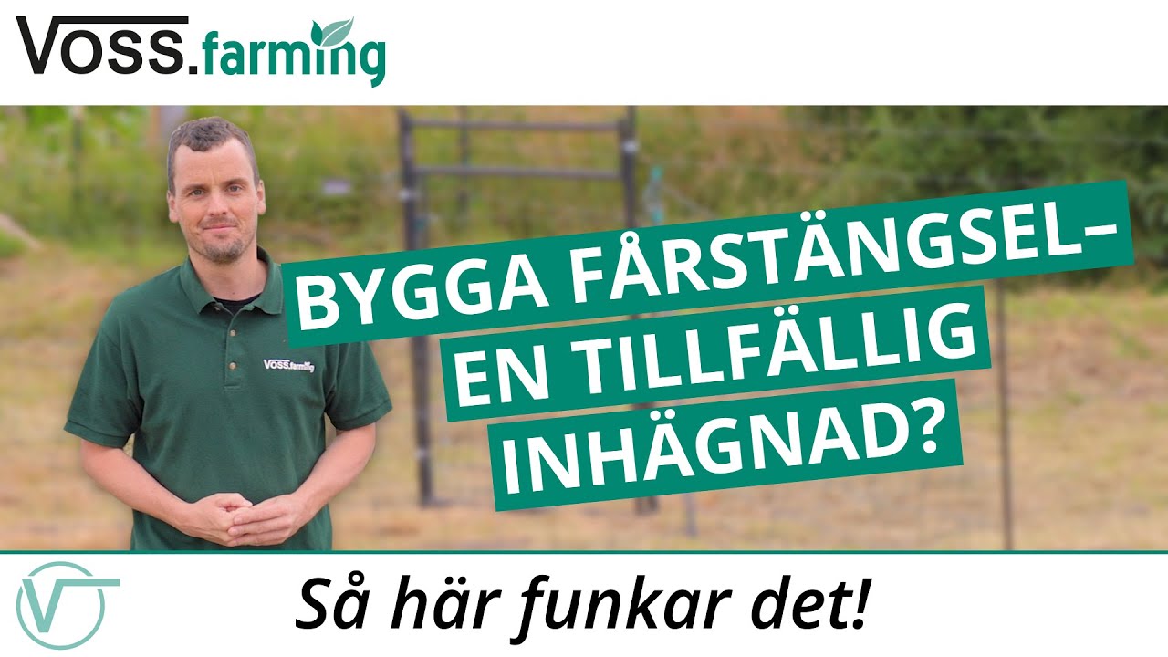 Bygga fårstängsel - tillfällig fårhage
